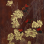 Gaston SUISSE (1896-1988) - Ignicolores dans les cactées en fleurs.